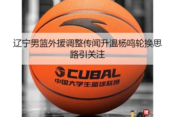 辽宁男篮外援调整传闻升温杨鸣轮换思路引关注 - leyu